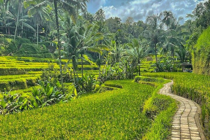 Custom Ubud Private Day Tour with Local Driver — Design Your Perfect Day photo 3