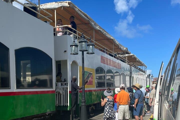 Ride the St. Kitts Scenic Railway: 30-Mile Coastal & Rainforest Circle photo 6
