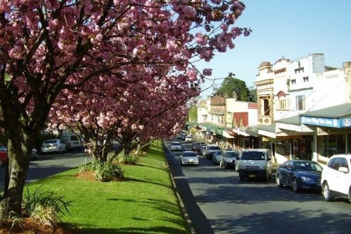 Blue Mountains Exclusive Private Tour from Sydney — Private Full-Day Scenic Escape photo 6