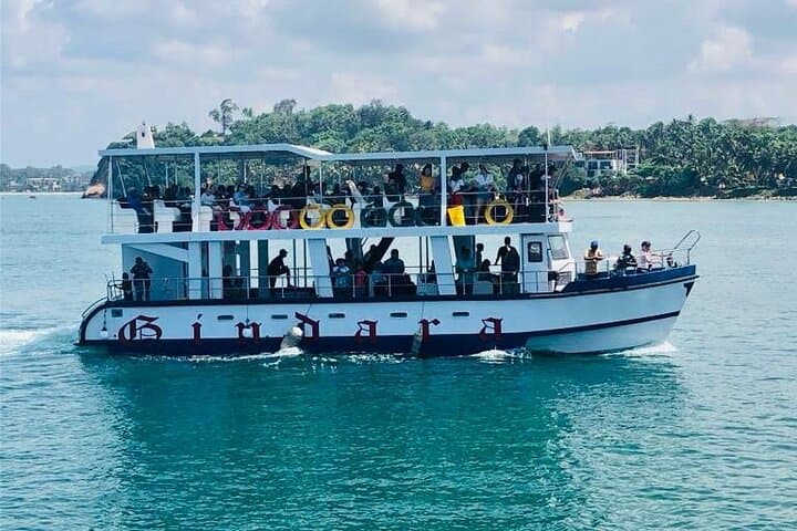 Mirissa Morning Whale Watching: Blue Whales, Dolphins & Breakfast Cruise