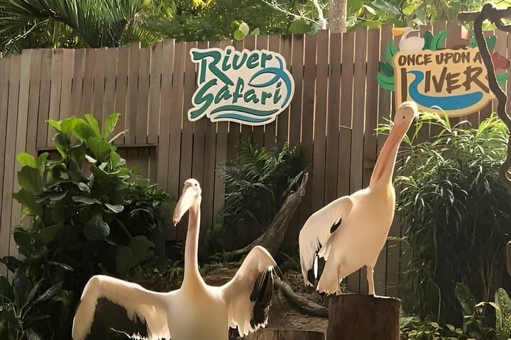 Mandai Wildlife Reserve 2-Day Wildlife Adventure with Roundtrip Transfer photo 4