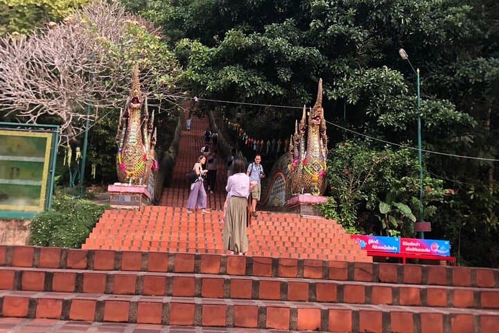 Half-Day Morning Wat Pha Lat and Doi Suthep Tour — Chiang Mai Temple Views & Jungle Stairs