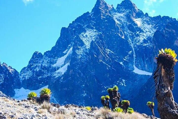 Mount Kenya Full-Day Hike via Naro Moru — Day Trip from Nairobi photo 5