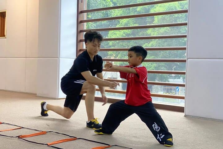 Half-Day Foshan Kungfu Workshop from Guangzhou — Private Class with a Local Master photo 6
