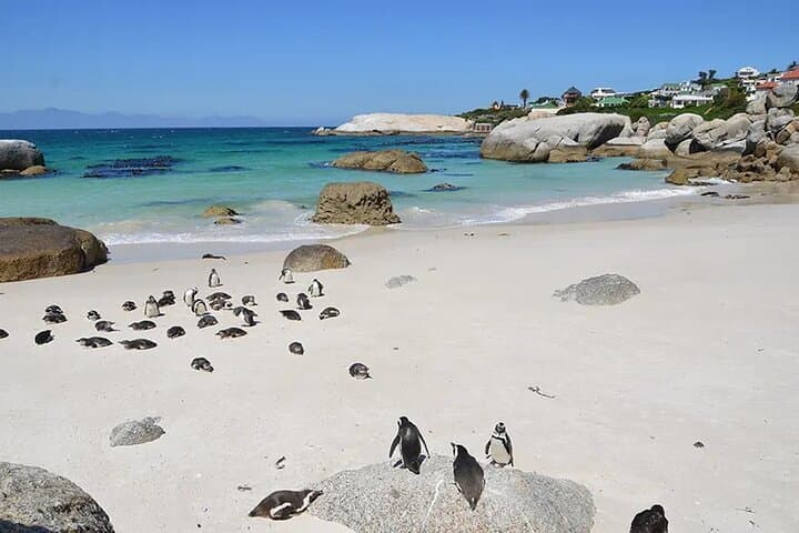 Luxury 8-Day Cape Town, Johannesburg & Kruger Safari: Table Mountain to the Big Five photo 2