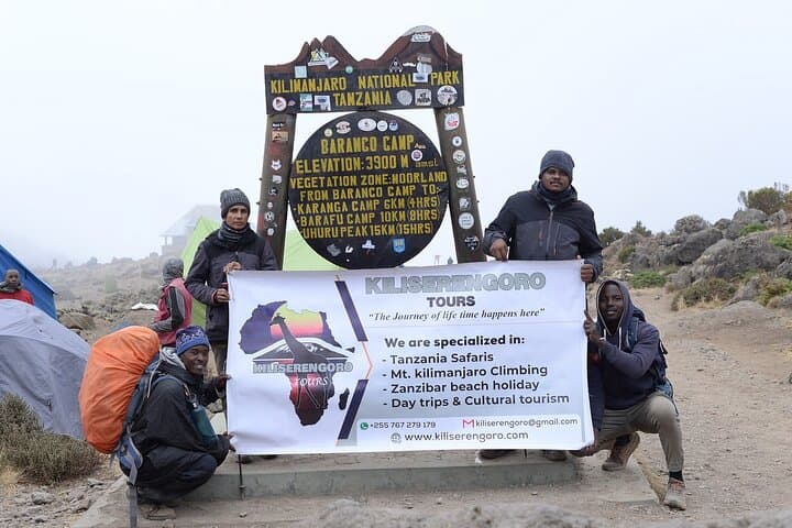 Kilimanjaro One-Day Lemosho Trek — Rainforest Hike from Moshi photo 6