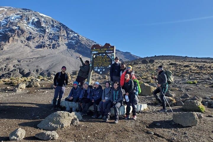 Kilimanjaro One-Day Lemosho Trek — Rainforest Hike from Moshi photo 3
