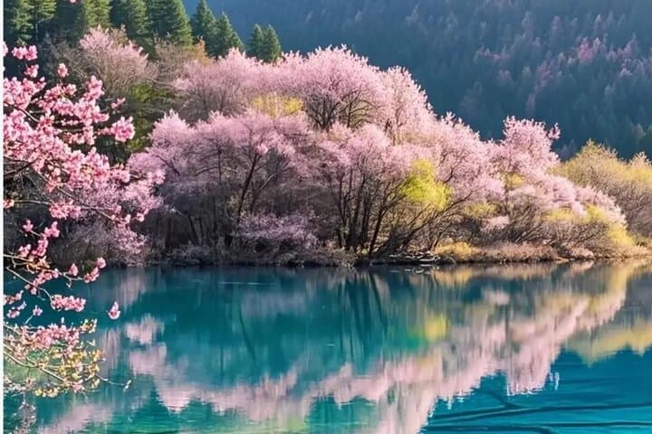 3-Day Self-Guided Jiuzhaigou & Huanglong Tour — Lakes, Travertine Pools & Private Transfers photo 2