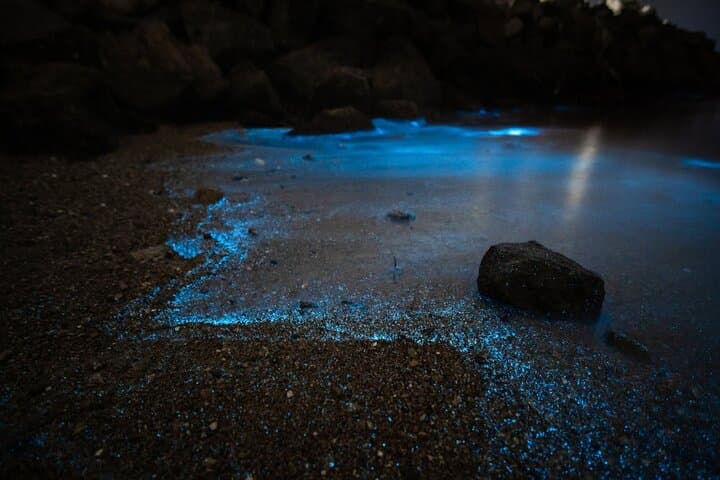 Krabi 7 Islands Longtail Sunset Cruise with Beach BBQ & Bioluminescence photo 2