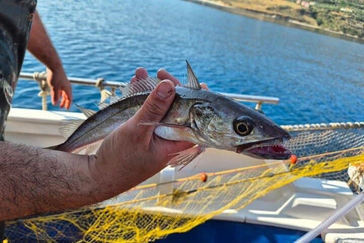 Chania Catch-and-Cook: Traditional Net Fishing & Seaside Feast