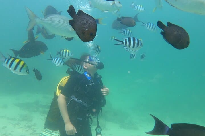 Discover Scuba Diving in Mombasa: Intro Dive at Coral Gardens