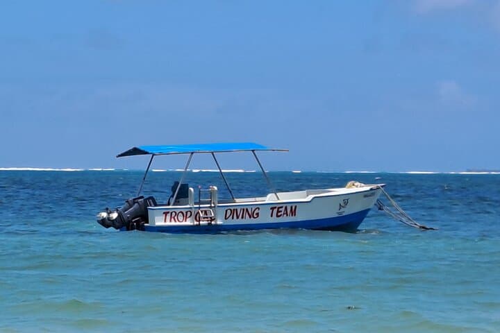 Mombasa Half-Day Dive: Shark Point & Green Turtle for Certified Divers photo 5