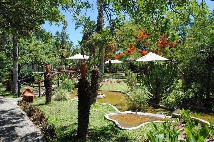 Kruger to Victoria Falls: 7-Day Midrange Safari and Falls Adventure photo 3