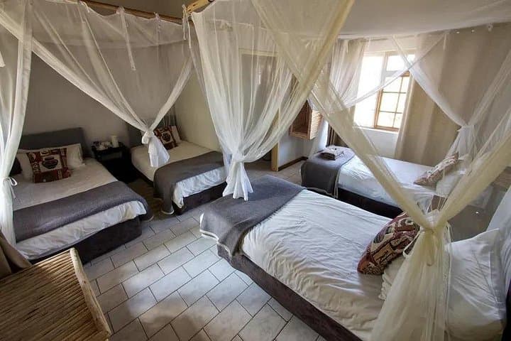 Kruger to Victoria Falls: 7-Day Midrange Safari and Falls Adventure photo 4