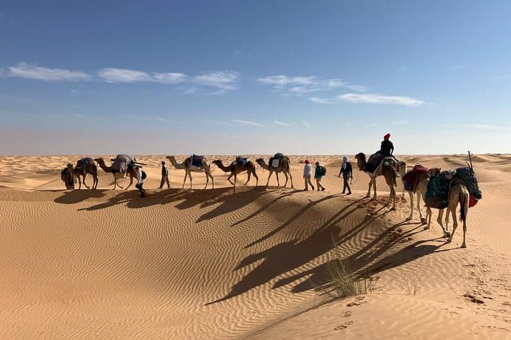 Overnight Camel Trek in the Sahara: Sunset Ride, Desert Camp & Sunrise Return