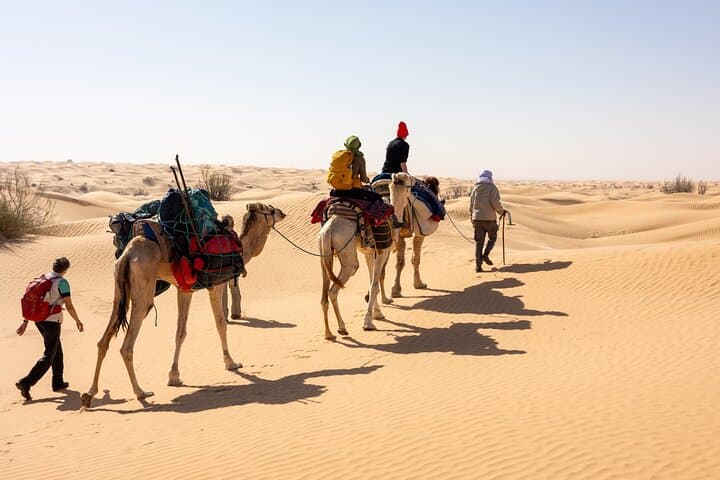 Overnight Camel Trek in the Sahara: Sunset Ride, Desert Camp & Sunrise Return photo 2