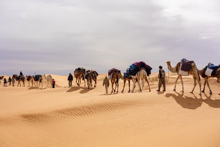 Overnight Camel Trek in the Sahara: Sunset Ride, Desert Camp & Sunrise Return photo 6