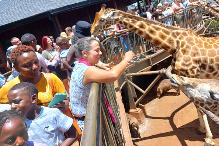 Classic Nairobi City Tour: Giraffe Centre, KICC Rooftop & Museum Day Trip
