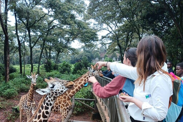 Classic Nairobi City Tour: Giraffe Centre, KICC Rooftop & Museum Day Trip photo 4