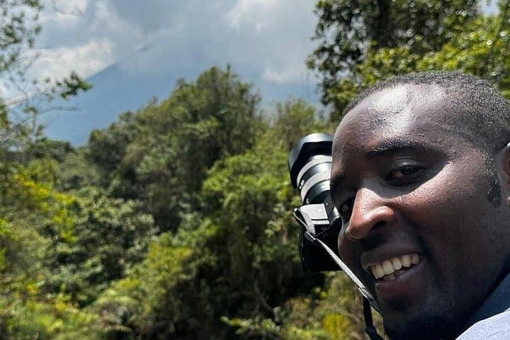 Golden Monkey Trekking in Volcanoes National Park — Rwanda Bamboo Forest Encounter photo 3