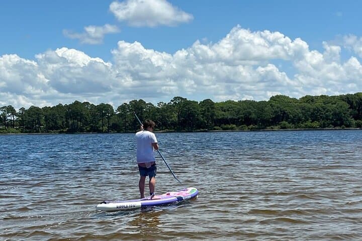 Guided SUP Eco Tour on Lake Powell — Panama City Beach Paddle Adventure photo 2