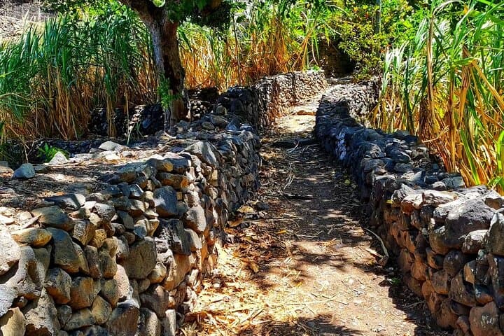 Praia to Cidade Velha: Baobab & Calabaceira Valley Guided Hike photo 3