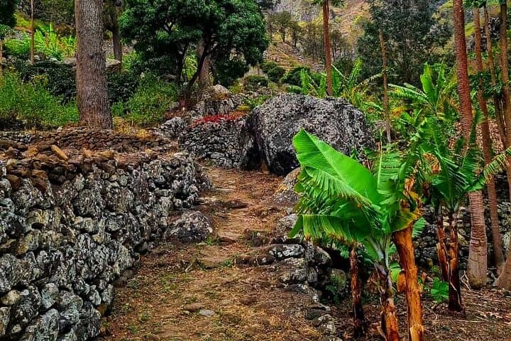 Praia to Cidade Velha: Baobab & Calabaceira Valley Guided Hike photo 2