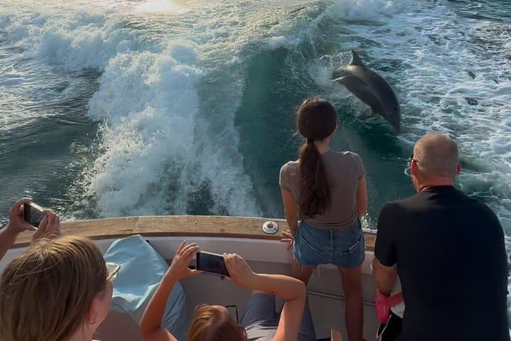 Private 2-Hour Dolphin Sightseeing Tour in Panama City Beach