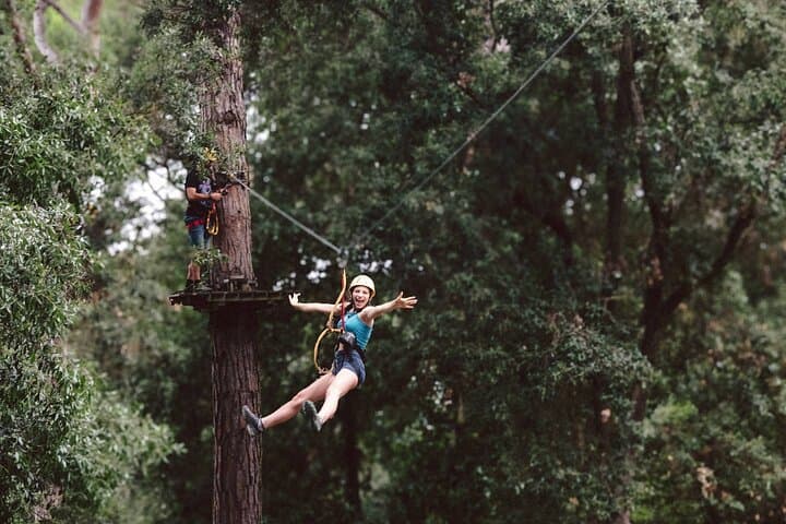Adventure Park Il Pineto: Pisa Treetop Courses & 150m Zipline photo 3