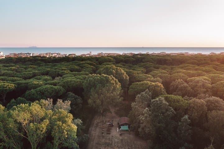 Adventure Park Il Pineto: Pisa Treetop Courses & 150m Zipline photo 5