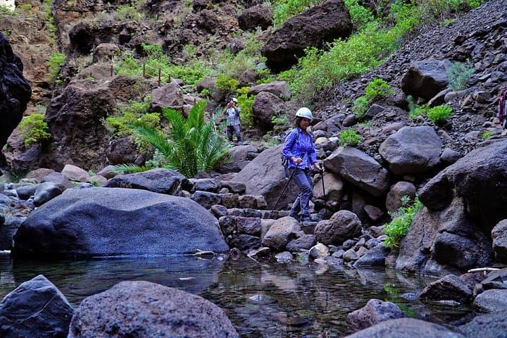 Masca Ravine Hike and Boat to Los Gigantes: Tenerife Day Trip photo 3
