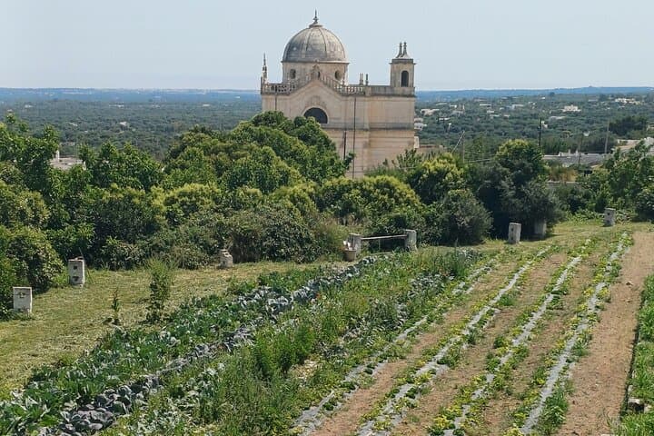 Ostuni Secret Gardens Walk and Aperitif: Historic Hilltop Stroll & Tasting