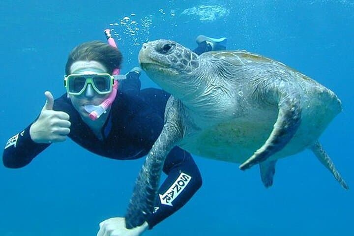 Hikkaduwa Snorkeling with Sea Turtles: 2-Hour South Coast Adventure photo 2