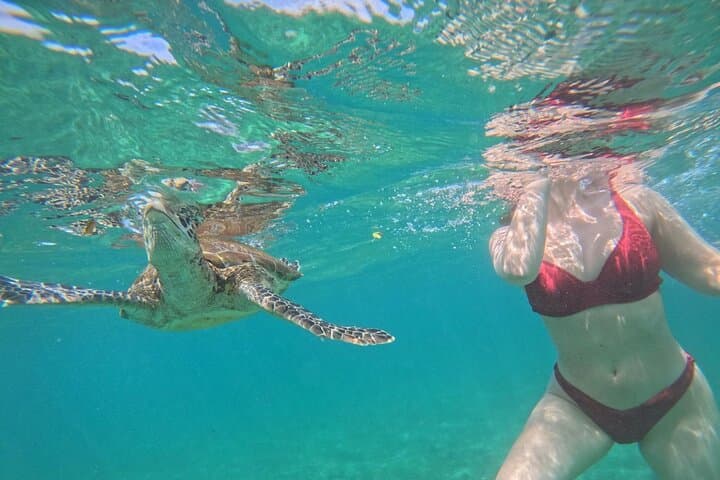 Hikkaduwa Snorkeling with Sea Turtles: 2-Hour South Coast Adventure photo 3