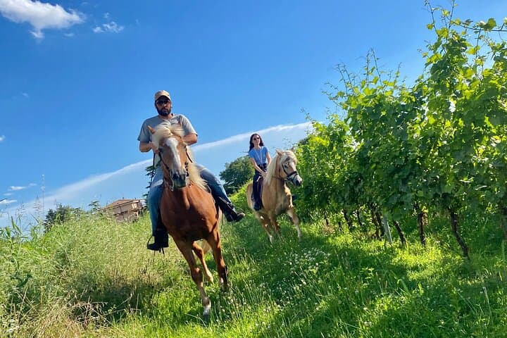 Horseback Riding and Wine Tasting in Lake Garda Vineyards photo 6
