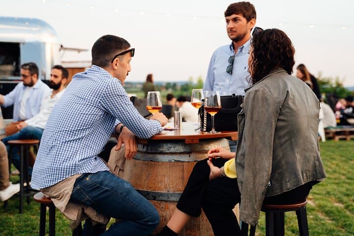 Horseback Riding and Wine Tasting in Lake Garda Vineyards photo 5