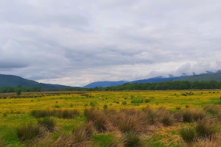Private Scottish Highlands Day Tour: Kelpies, Glencoe, Loch Ness & Cairngorms photo 2