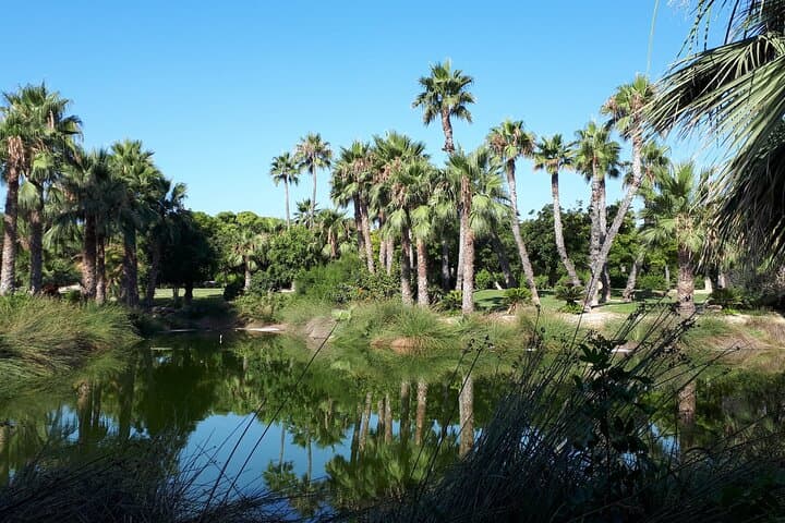 Explore Alicante with Self-Guided Scavenger Hunts: 4 Route Options & Puzzle Walks photo 3