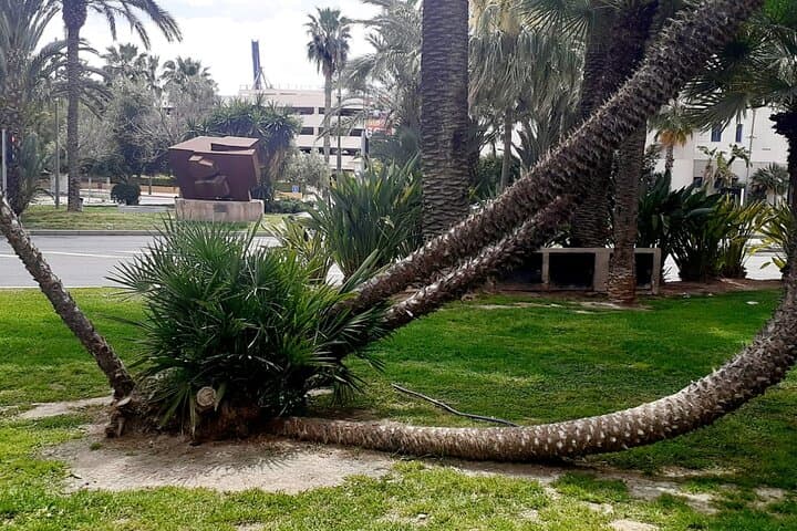 Explore Alicante with Self-Guided Scavenger Hunts: 4 Route Options & Puzzle Walks photo 6