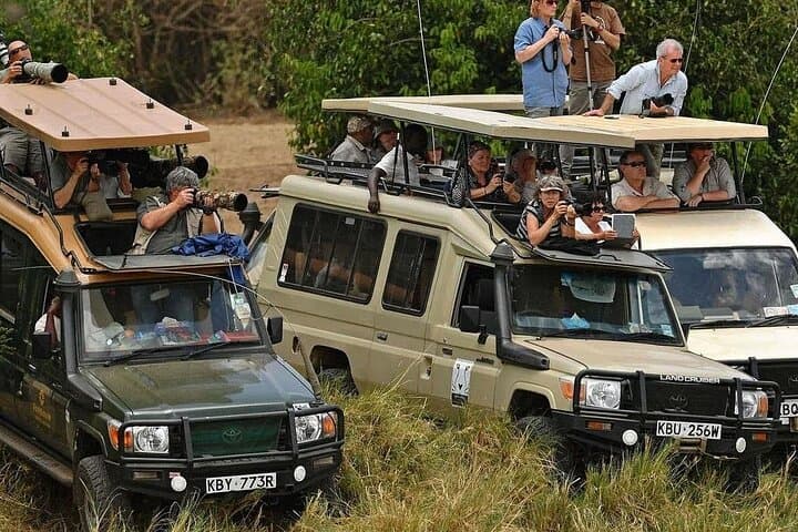 3-Day Masai Mara Camping Safari: Budget 4x4 Game Drives & Big Five Viewing photo 2