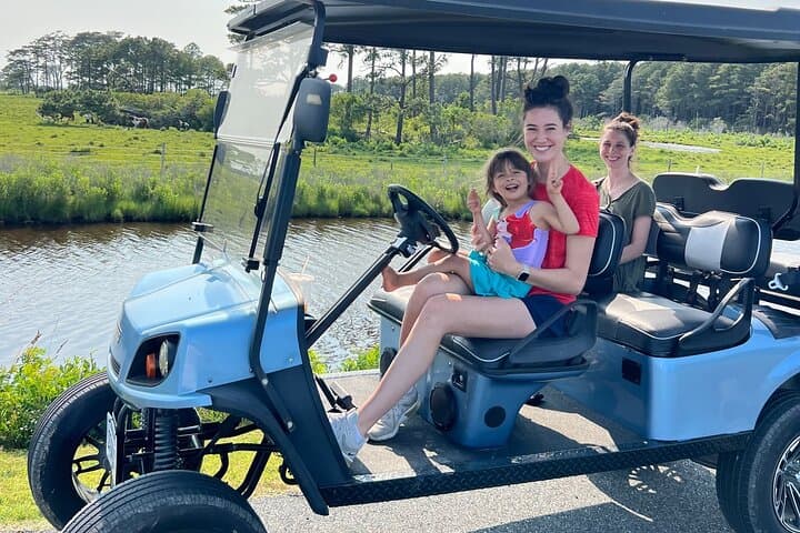 Chincoteague Golf Cart Tour: See Assateague Ponies & Island Sights photo 2