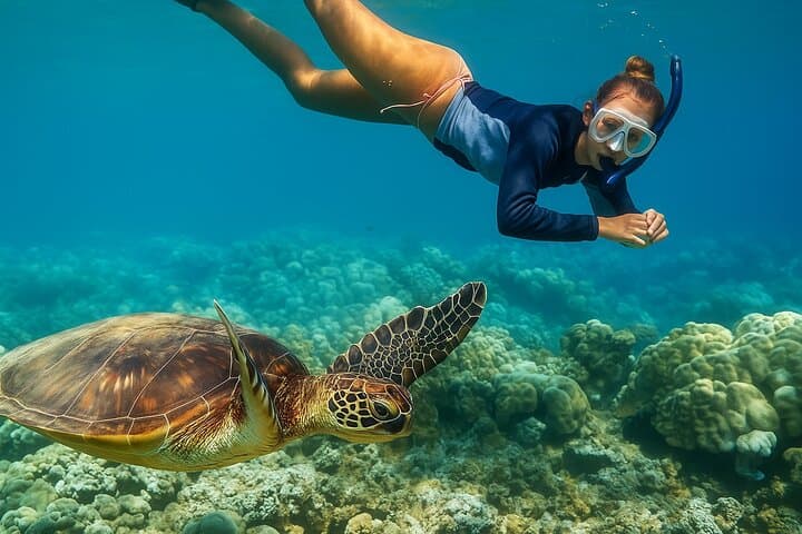 Snorkel and Sunset Cruise from Margaritaville Resort — St. Thomas Reef & Sunset Experience photo 4