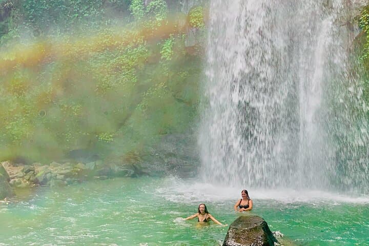 Private Ubud Full-Day: Monkey Forest, Tegallalang Rice Terraces, Tirta Empul & Coffee Plantation photo 6