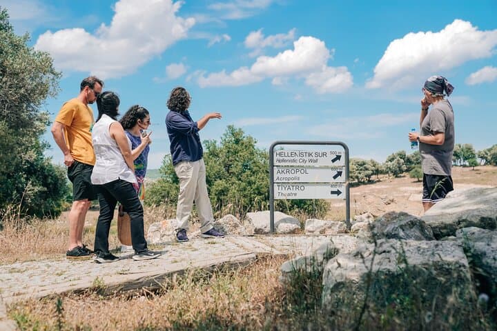 Teos Ancient City and Sığacık Castle Guided Walking Tour — Aegean History and Views