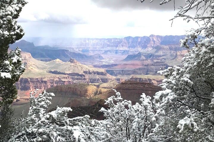 South Rim Grand Canyon Guided Tour from Tusayan — Highlights, Tips & What to Expect photo 3