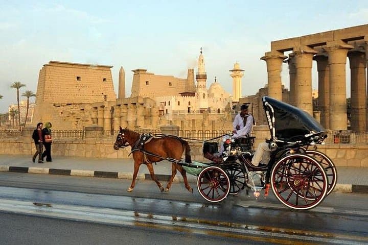 Horse Carriage Ride Along Luxor's Nile Corniche: Private 1.5-Hour City Tour photo 1
