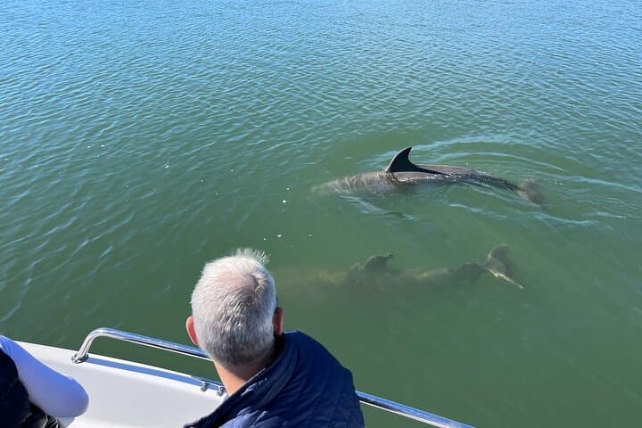 Folly Beach to Morris Island: Private Dolphin, Lighthouse & Shelling Adventure photo 2