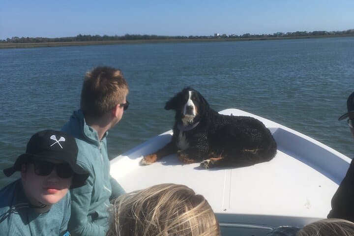 Folly Beach to Morris Island: Private Dolphin, Lighthouse & Shelling Adventure photo 6