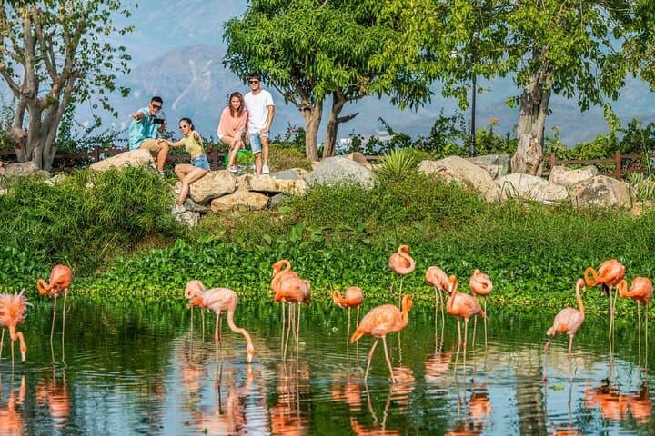 VinWonders Nha Trang: Cable-Car Crossing, Water Park & Hon Tre Island Guide