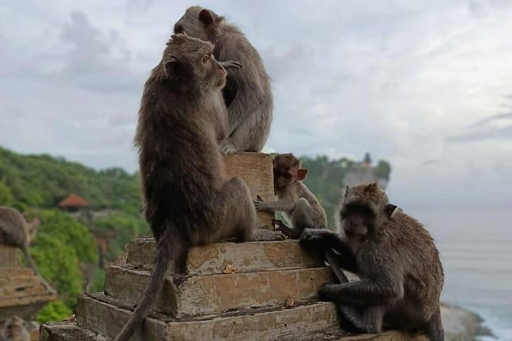 Uluwatu Temple & Kecak Sunset Tour: Cliffside Temple, Fire Dance, Jimbaran Seafood photo 3